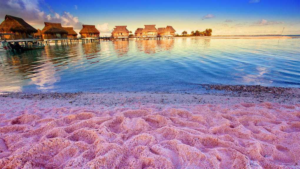 Все, что надо знать перед планированием роскошного отдыха на белоснежных багамских пляжах — staff-online