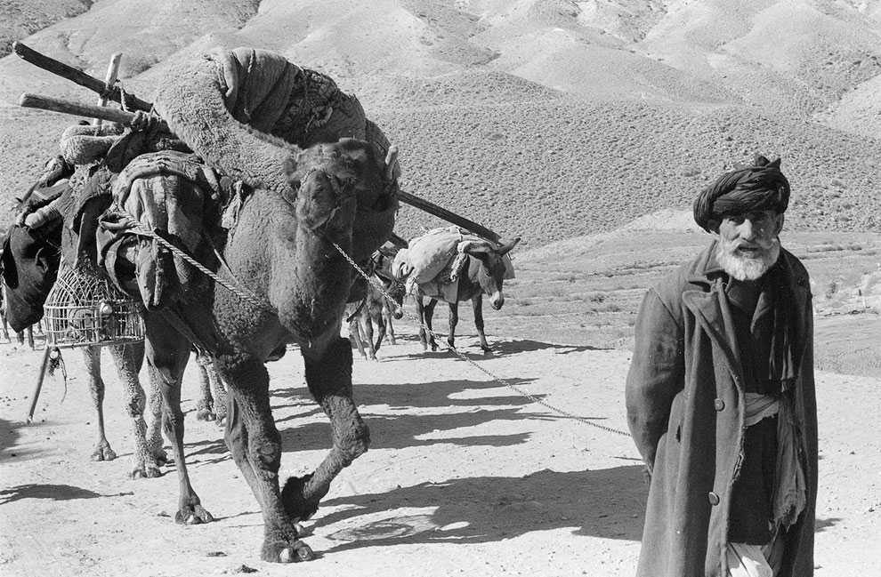 Смолина алла николаевна. афганистан. джелалабад, 66-я бригада, фотоальбом n 1