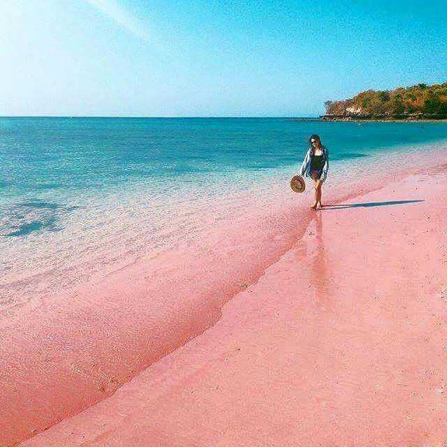 Узнай где находится Розовый пляж на карте Багам (С описанием и фотографиями). Розовый пляж со спутника