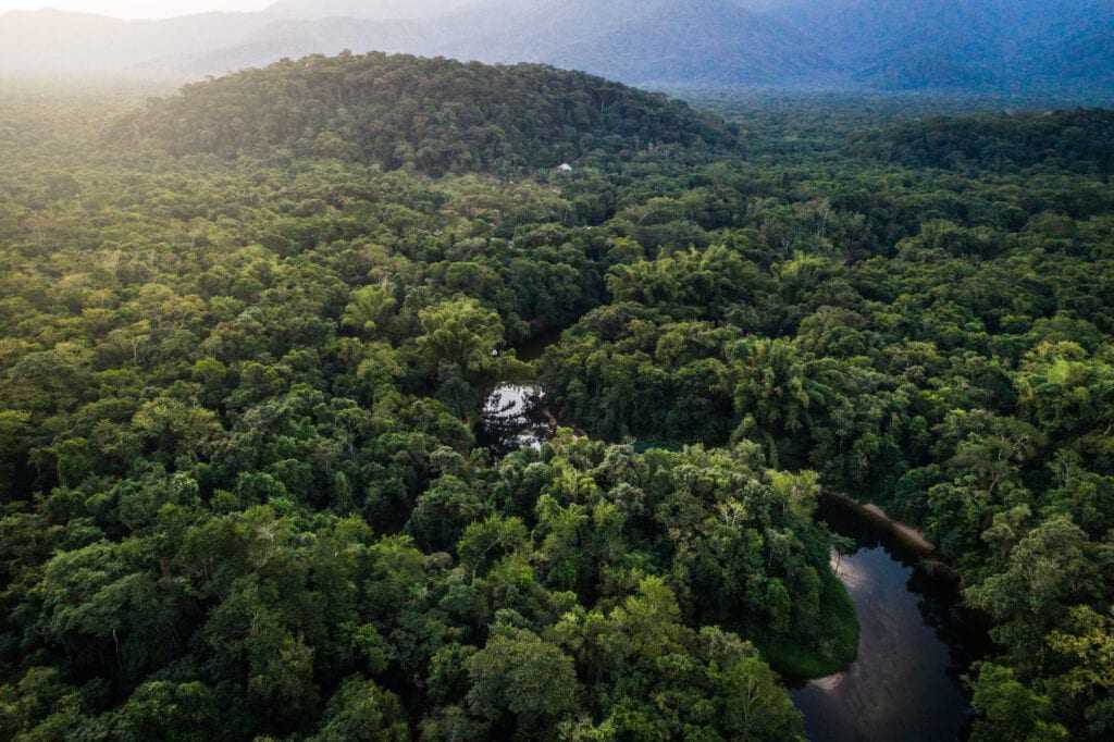 Леса амазонки: "удивительный мир амазонии" ⚡