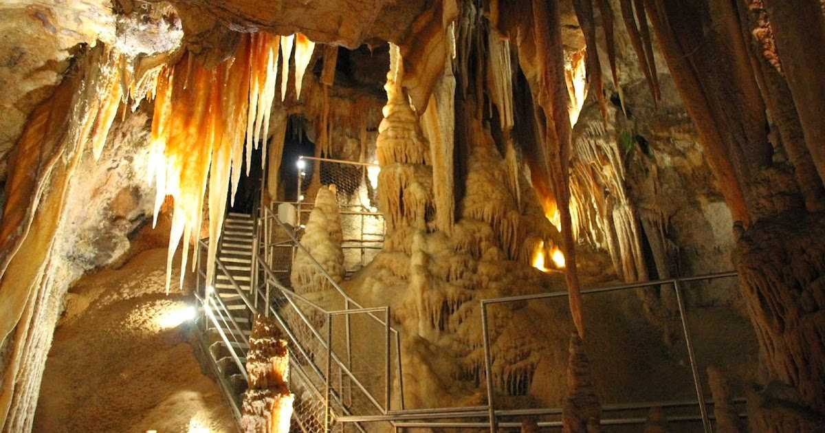 Билеты: пещеры дженолан и голубые горы: тур на целый день из сиднея