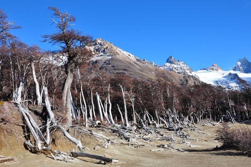 Горы в аргентине - фото, описание гор в аргентине