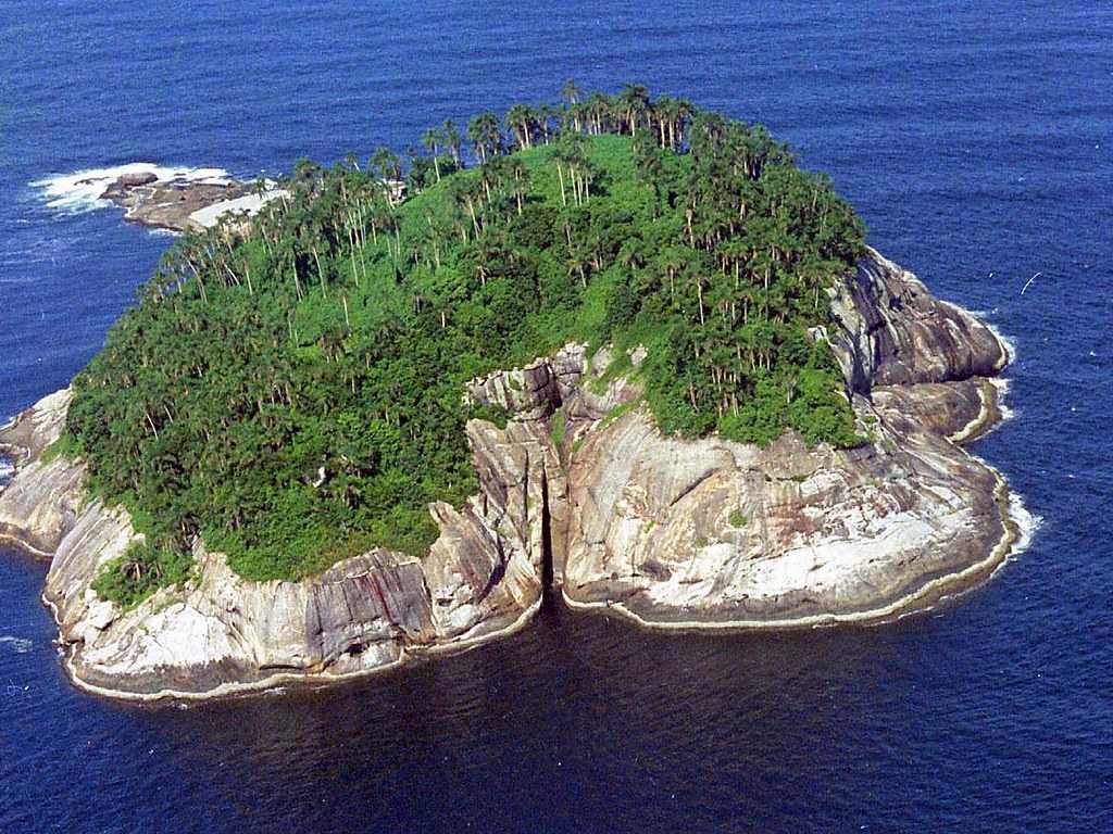 Змеиный остров кеймада-гранди - самое опасное место на земле