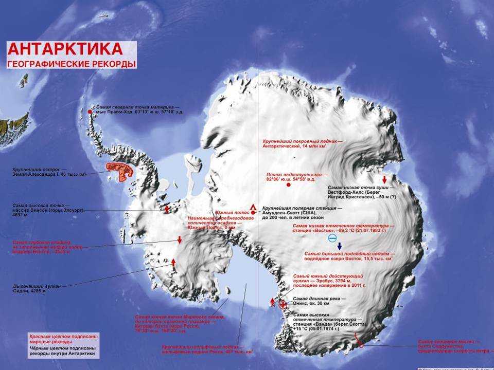 Антарктика ️ расположение на карте мира, кто открыл, происхождение названия, особенности рельефа, природы и животного мира, климат и температура, интересные факты, основные отличия от арктики и антарктиды