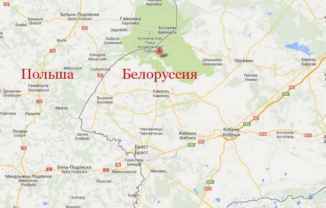 Узнай где находится Беловежская пуща на карте Беларуси (С описанием и фотографиями). Беловежская пуща со спутника