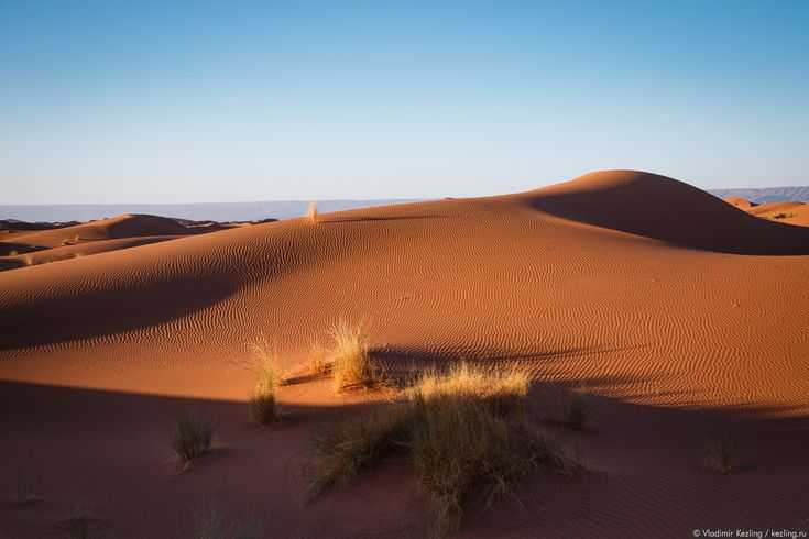 Фото пустынь