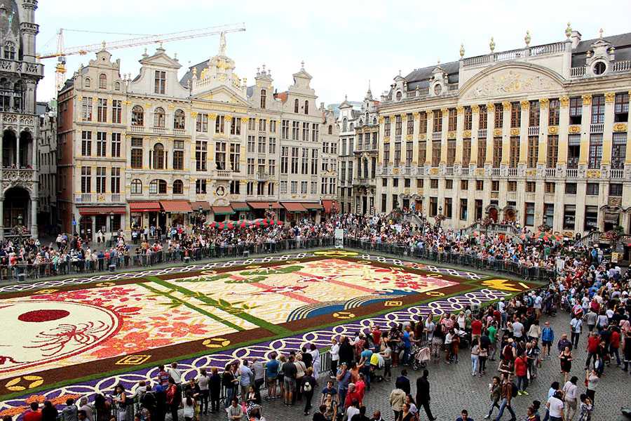 Фестиваль «ковер из цветов» в брюсселе 2021 — фото, отзывы, отели рядом на туристер.ру