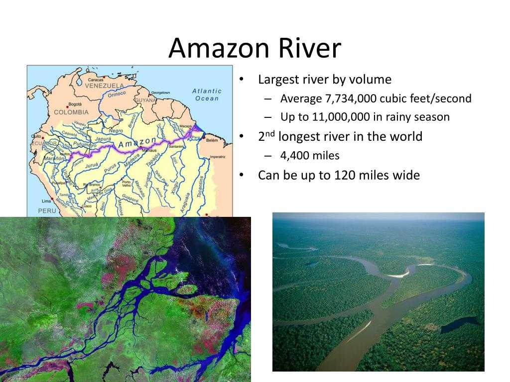 Бассейн амазонки - amazon basin - abcdef.wiki
