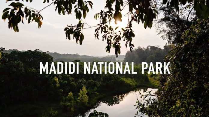 Национальный парк мадиди - madidi national park