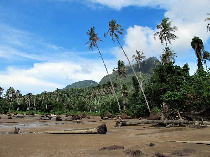 Подборка видео про Остров Борнео (Калимантан) (Индонезия) от популярных программ и блогеров. Остров Борнео (Калимантан) на сайте