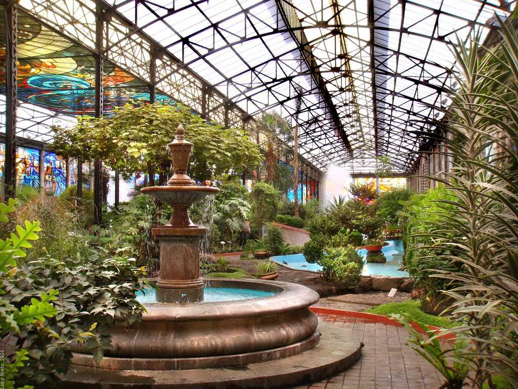 Ботанический сад в рио: флора, фауна, ландшафтный дизайн