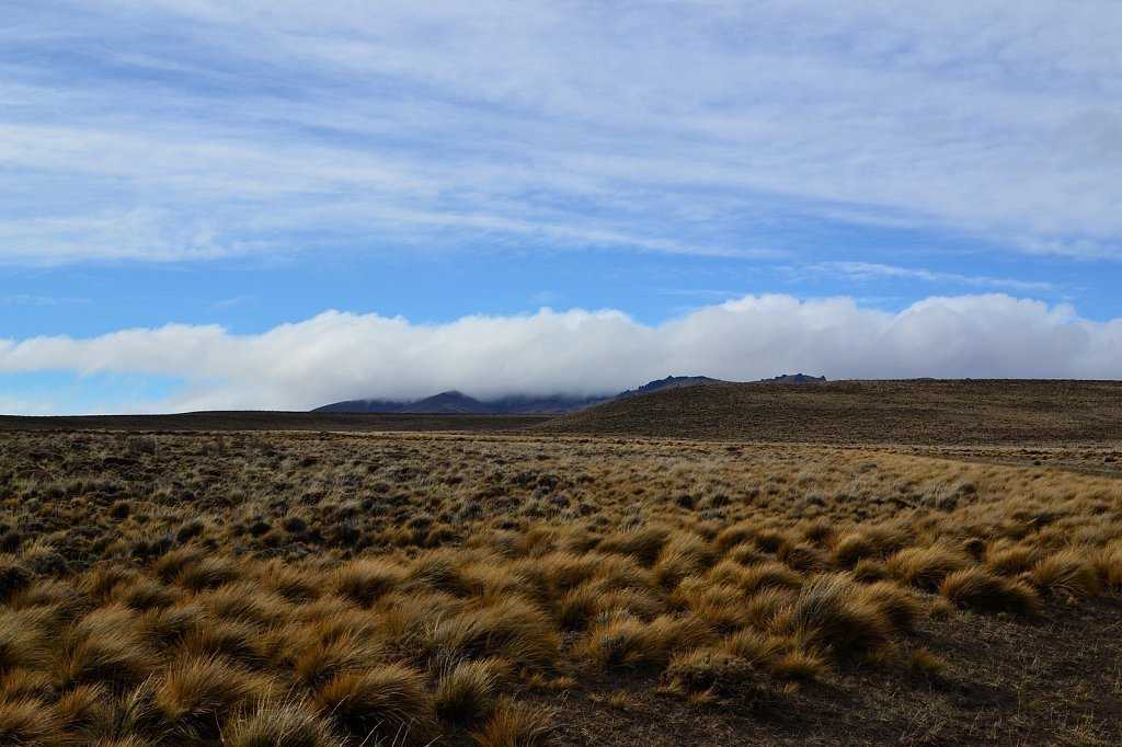 Тарука пампа, аргентина - подробная информация о климате и прогноз погоды на месяц | weather atlas