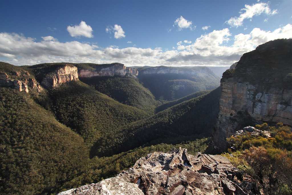 Голубые горы австралии не только сказочны, но и очаровательны
