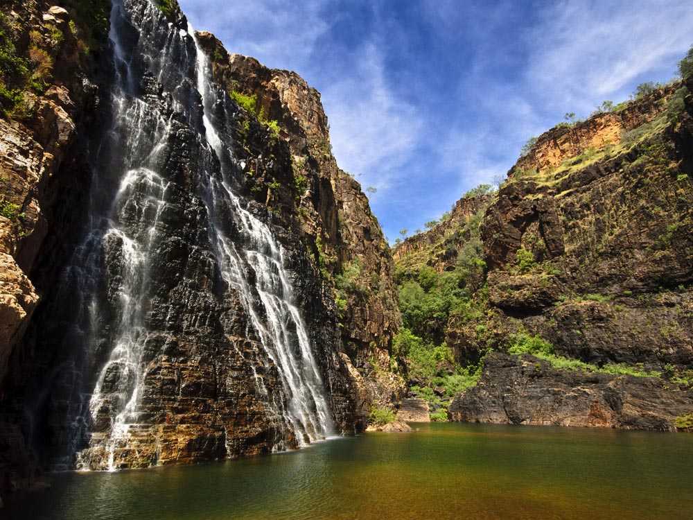 Парк какаду в австралии: где находится, как добраться, фото, отзывы туристов