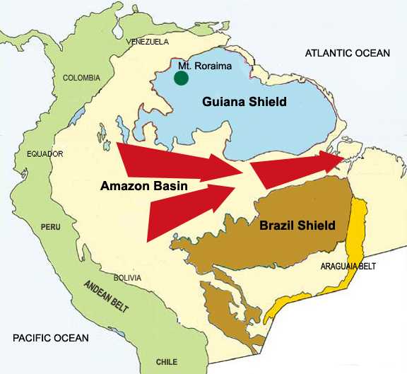Амазония: может ли планета остаться без главного тропического леса | рбк тренды