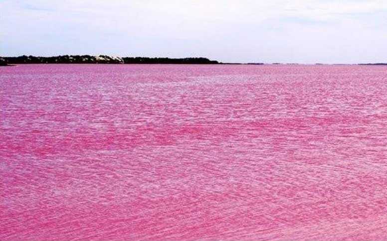 Розовое озеро хиллер на острове миддл