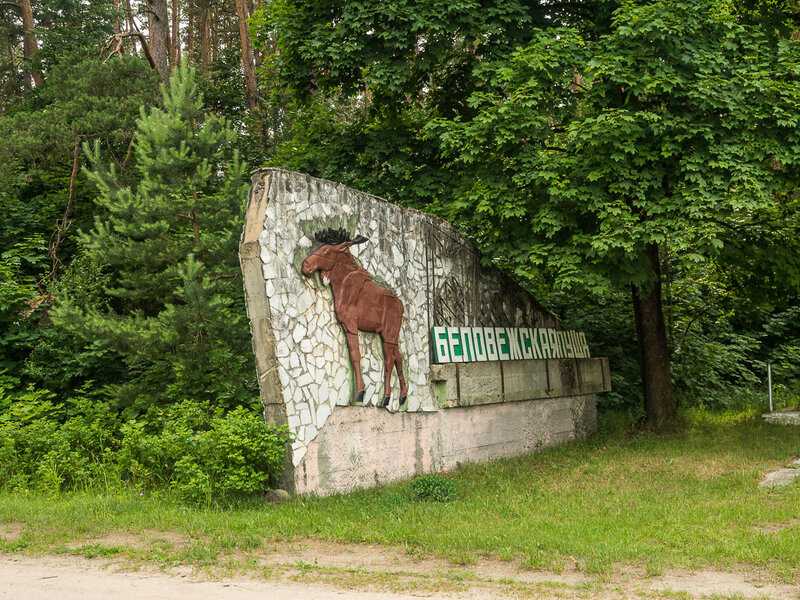 Национальный парк «беловежская пуща», беларусь: история, описание, фото