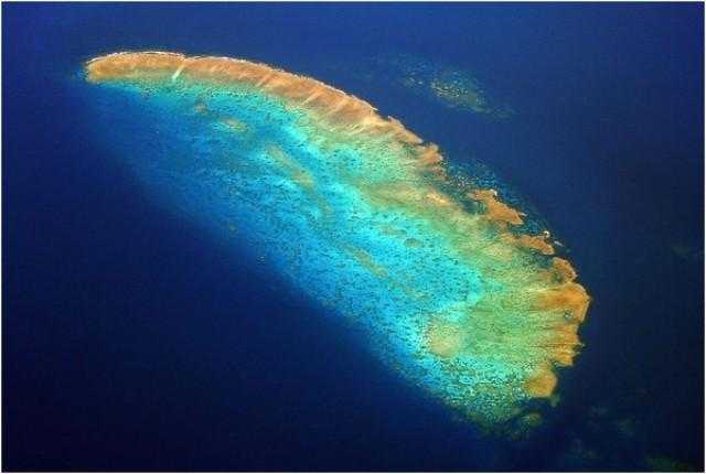 Белизский барьерный риф — разнообразие подводного мира и великое чудо природы