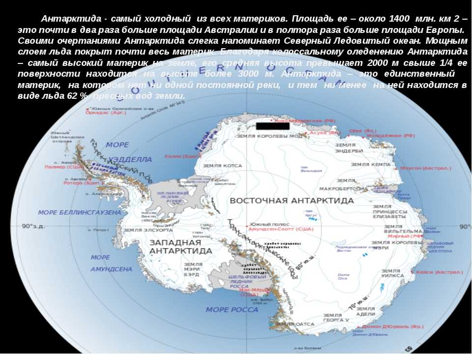 Чем отличается арктика от антарктики и антарктиды: 10 отличий. чем похожи природные условия, животный и растительный мир арктики и антарктики, антарктиды: сравнительная таблица. где находится арктика и антарктика, антарктида на карте мира?