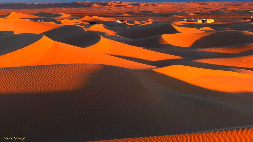 Какие пустыни самые большие на земле — список, характеристика и фото