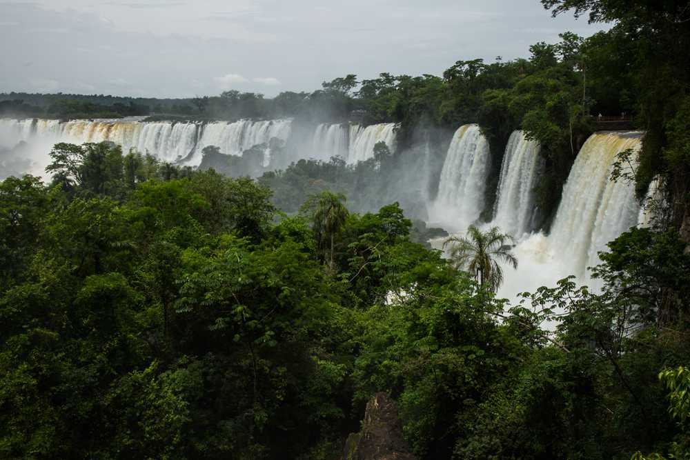 Национальный парк жау (parque nacional do jau) описание и фото - бразилия: манаус