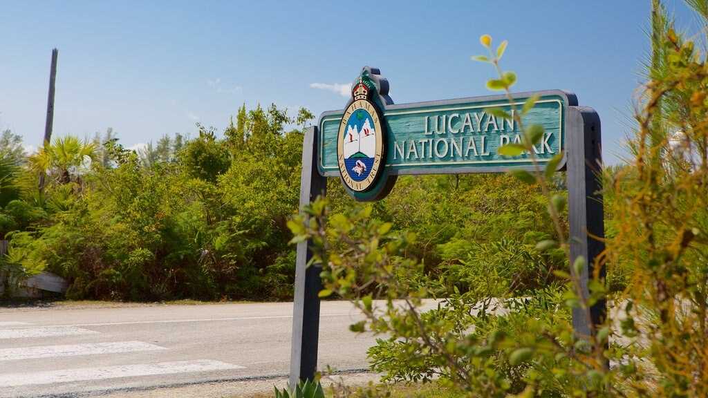 Что поделать на багамских островах - национальные парки, природа и заповедники для активного отдыха