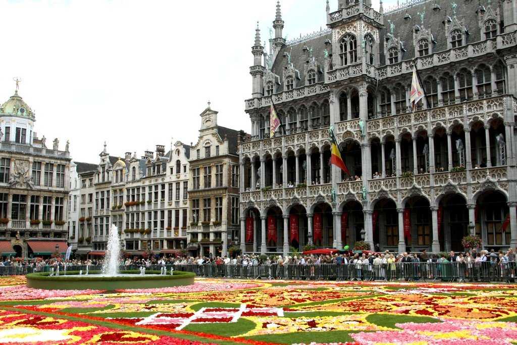 Фестиваль «ковер из цветов» в брюсселе 2021 — фото, отзывы, отели рядом на туристер.ру