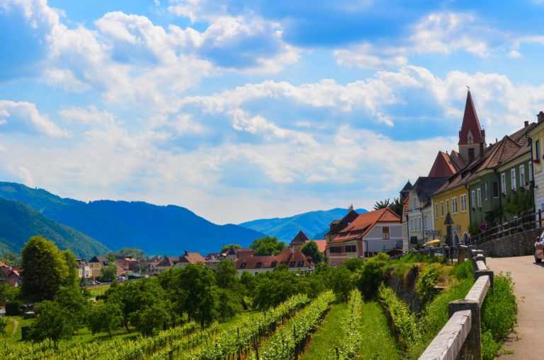 Окрестности вены: 15 идей для путешествия по австрии