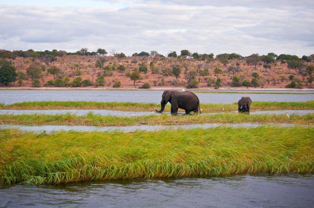 Отдых в ботсване – путеводитель туриста по ботсване. климат, курорты, кухня, достопримечательности и интересные места