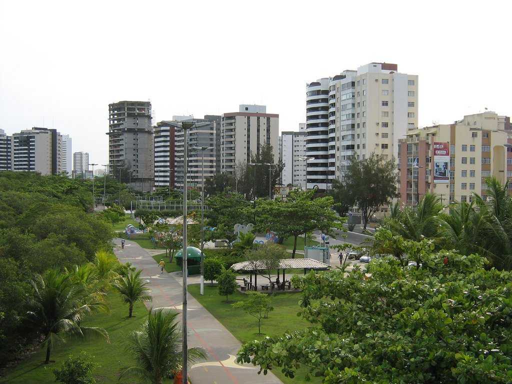 Штат гояс: "самый зеленый регион бразилии" | hasta pronto