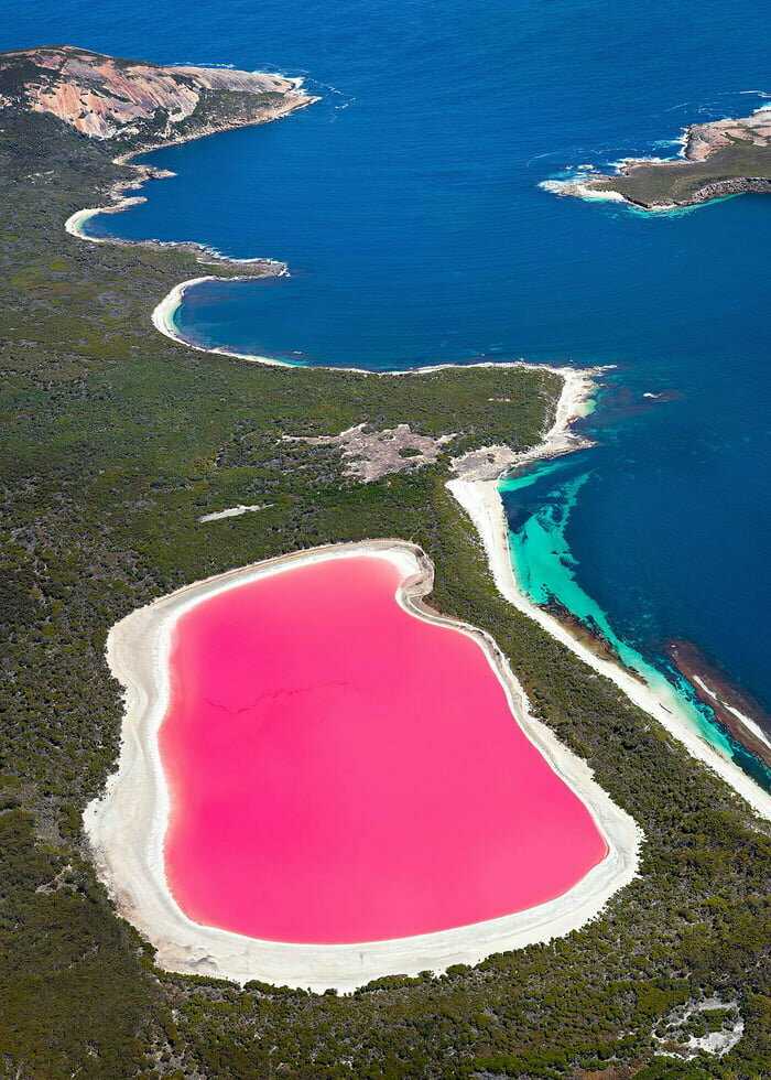 Розовое озеро хиллер