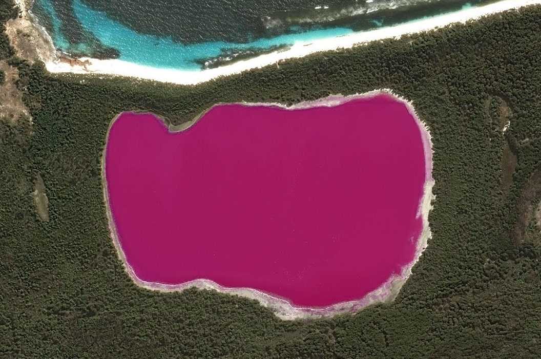 Озеро хиллер, мидл-айленд, австралия. розовое озеро, на карте, природа, фото, видео, как добраться — туристер.ру