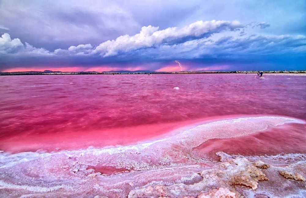 Озеро хиллер на острове миддл: почему вода розовая?