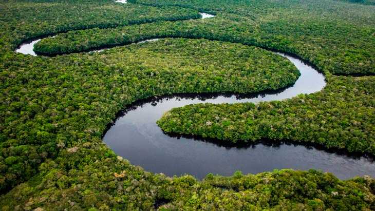 Амазония: может ли планета остаться без главного тропического леса | рбк тренды