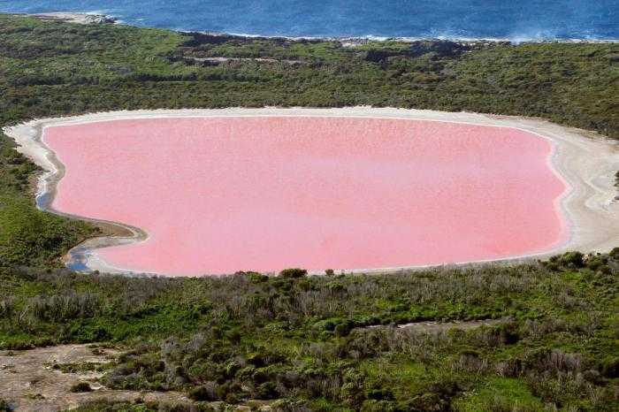 Розовое озеро хиллер в австралии – чудо природы – удивительные факты