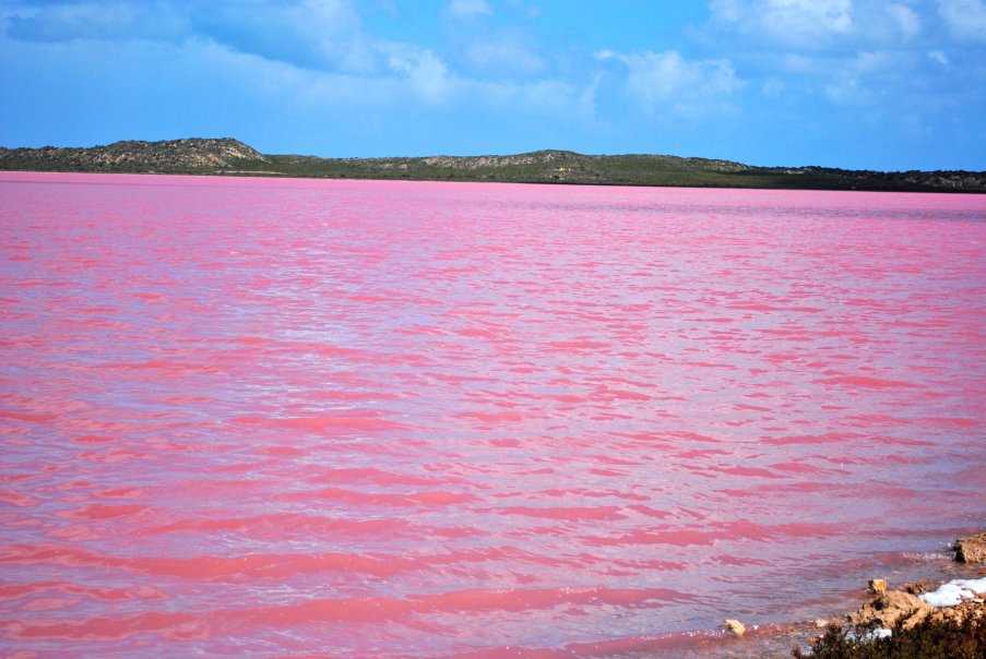 Розовое озеро в крыму: описание, где находится и как добраться. розовые озера мира: расположение, краткое описание и фото есть ли розовое озеро