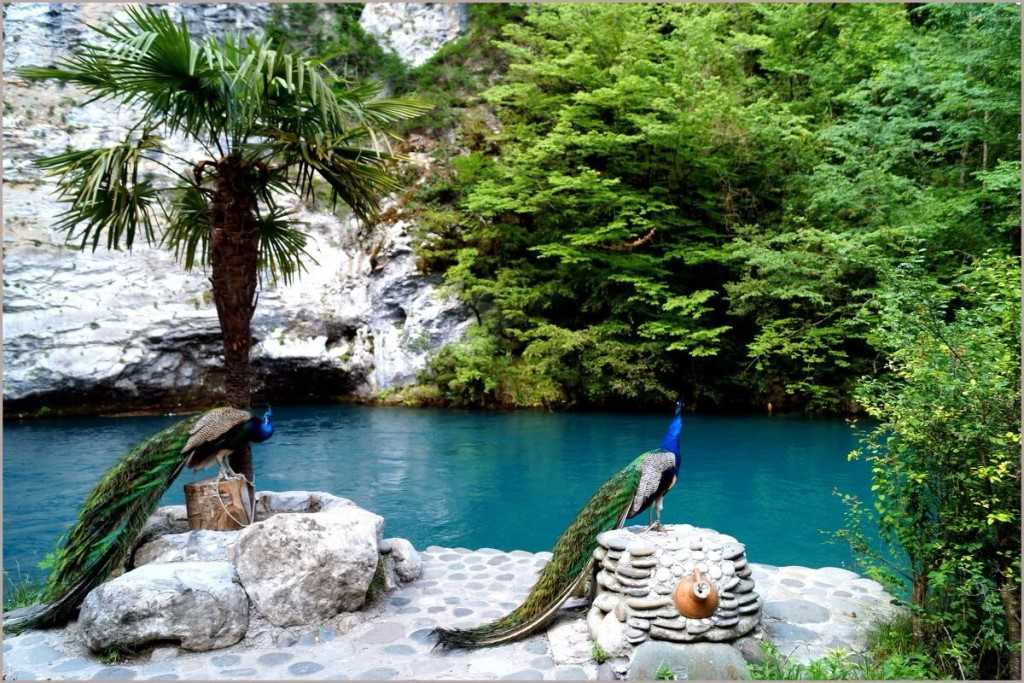 Самые красивые места абхазии (фото) | cамые красивые места мира