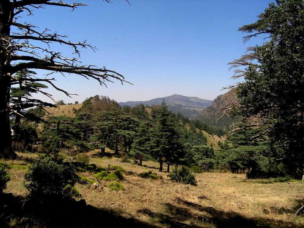 Что поделать в алжире - национальные парки, природа и заповедники для активного отдыха