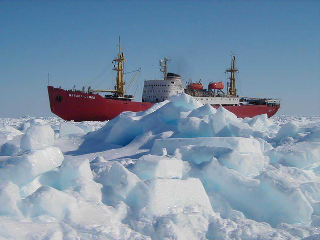 Загадочные обитатели антарктических морей