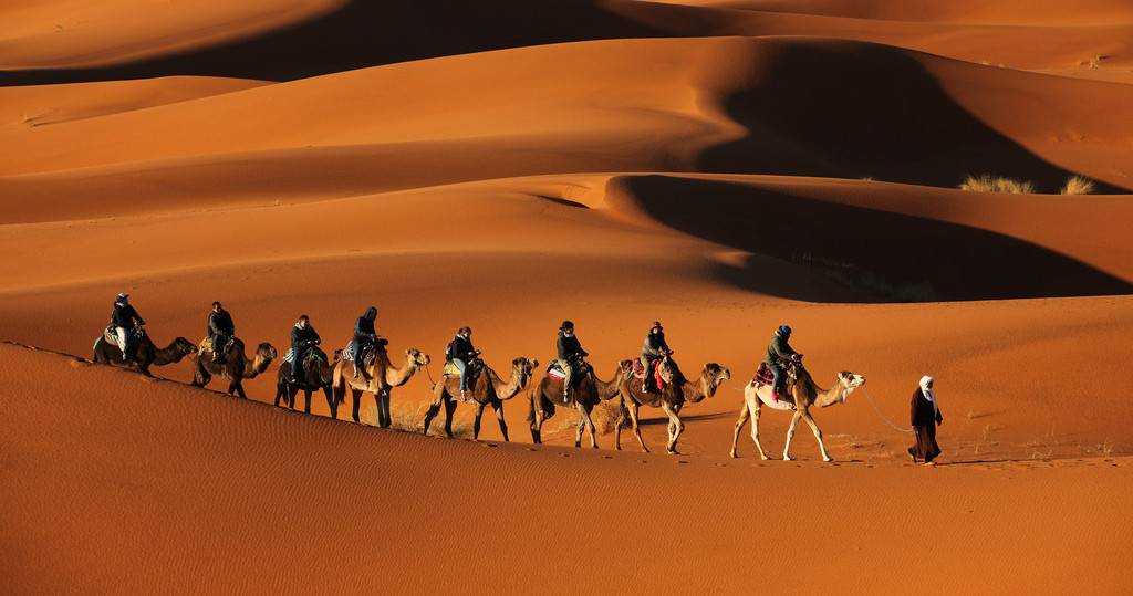 Люди каравана. Караван верблюдов в пустыне. Караван в сахаре. Пустыня сахара Караван. Бескрайняя пустыня.