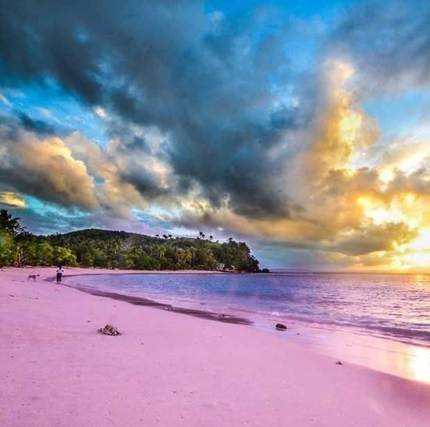 Остров харбор и его розовый пляж. багамы