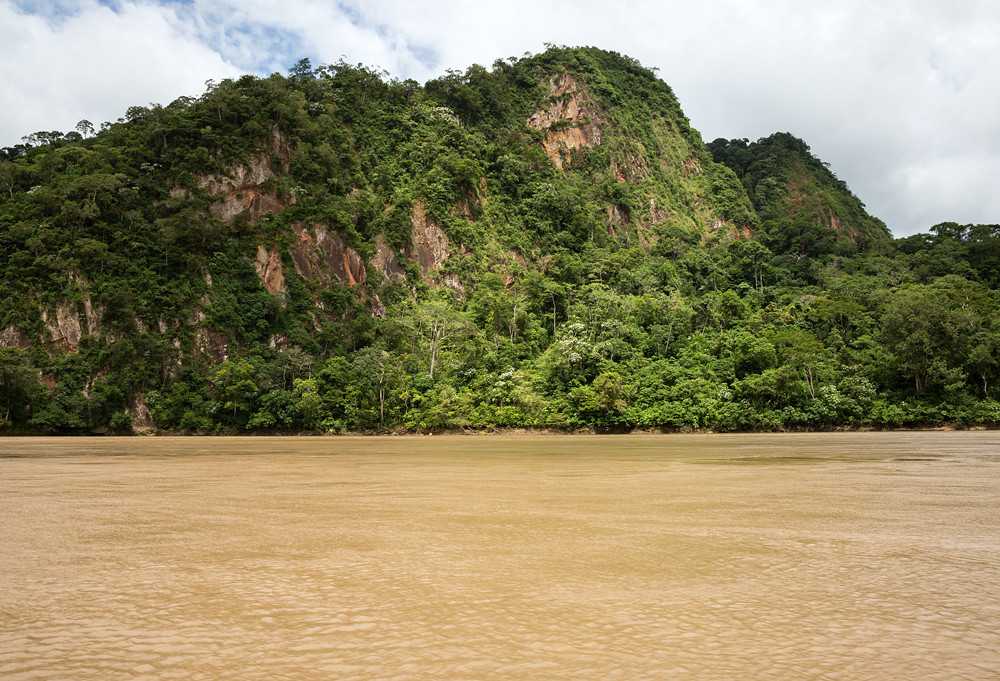 Река амазонка: где начало, бассейн, куда впадает