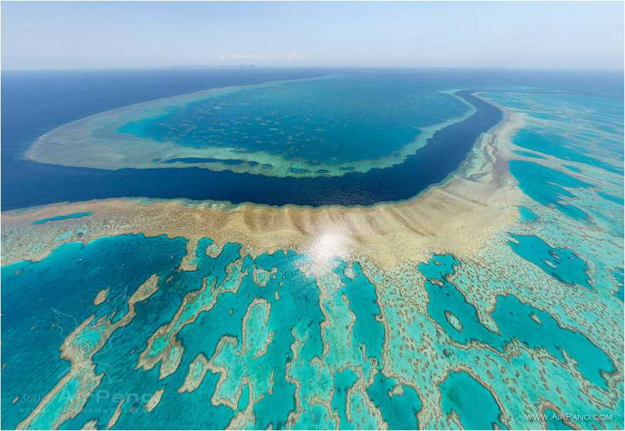 Большой барьерный риф, австралия — отдых, пляжи, отели большого барьерного рифа от «тонкостей туризма»