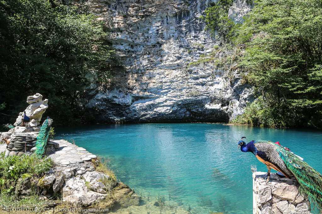 Голубое озеро находится в Абхазии, в Рицинском реликтовом парке, на правом берегу реки Бзыбь Вода в водоеме имеет насыщенный голубой оттенок и никогда не замерзает Интерес путешественников к абхазскому озеру стимулируют легенды Одна из них рассказывает об
