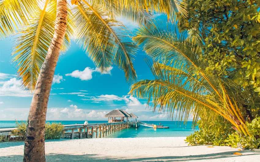 Барбадос: отдых на барбадосе, виза, туры, курорты, отели и отзывы