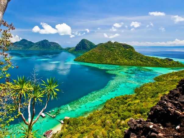​50 интересных  фактов об острове борнео — общенет