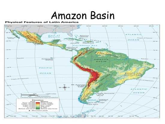 Тропический лес амазонки - amazon rainforest