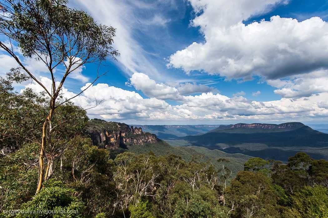 Национальный парк австралии голубые горы – описание и фотографии