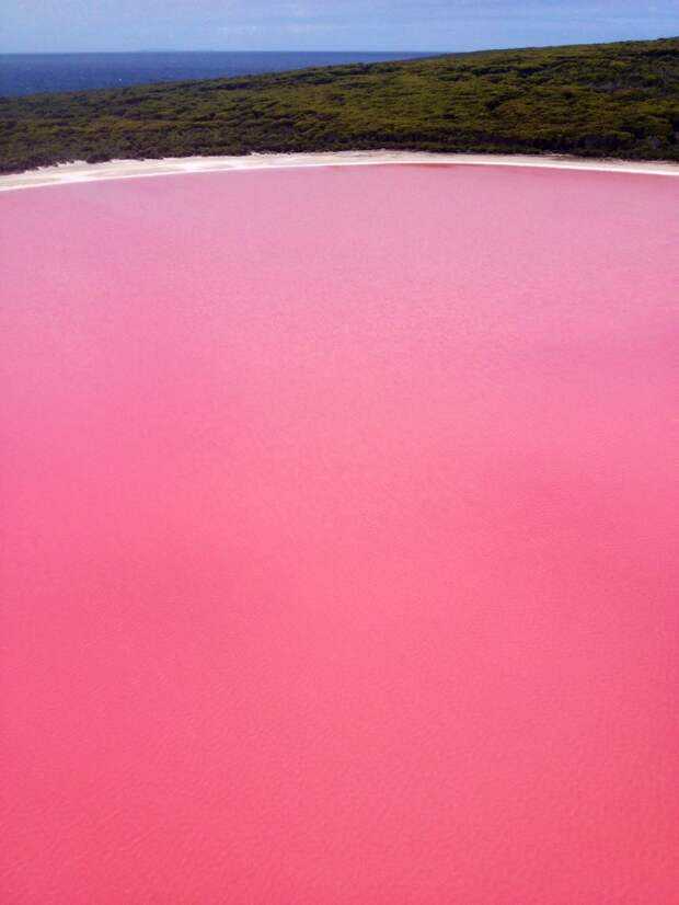 Узнай где находится Розовое озеро Хиллер на карте Австралии (С описанием и фотографиями) Розовое озеро Хиллер со спутника