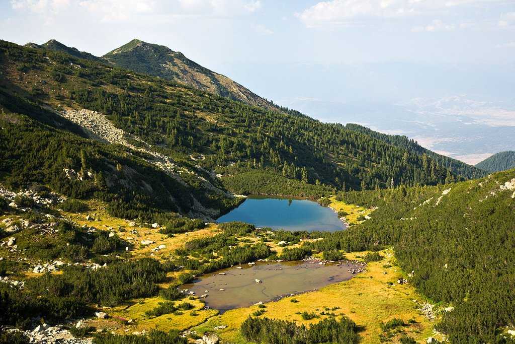 Природа болгарии - описания флоры и фауны болгарии (реки, горы, озера, национальные парки)